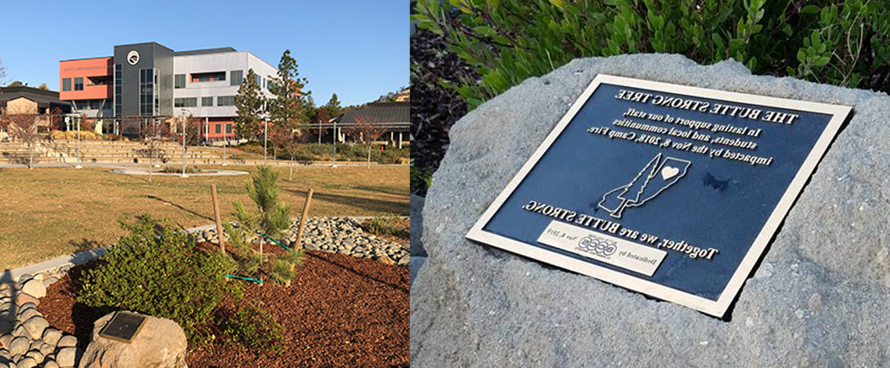 Butte Strong Tree Planting